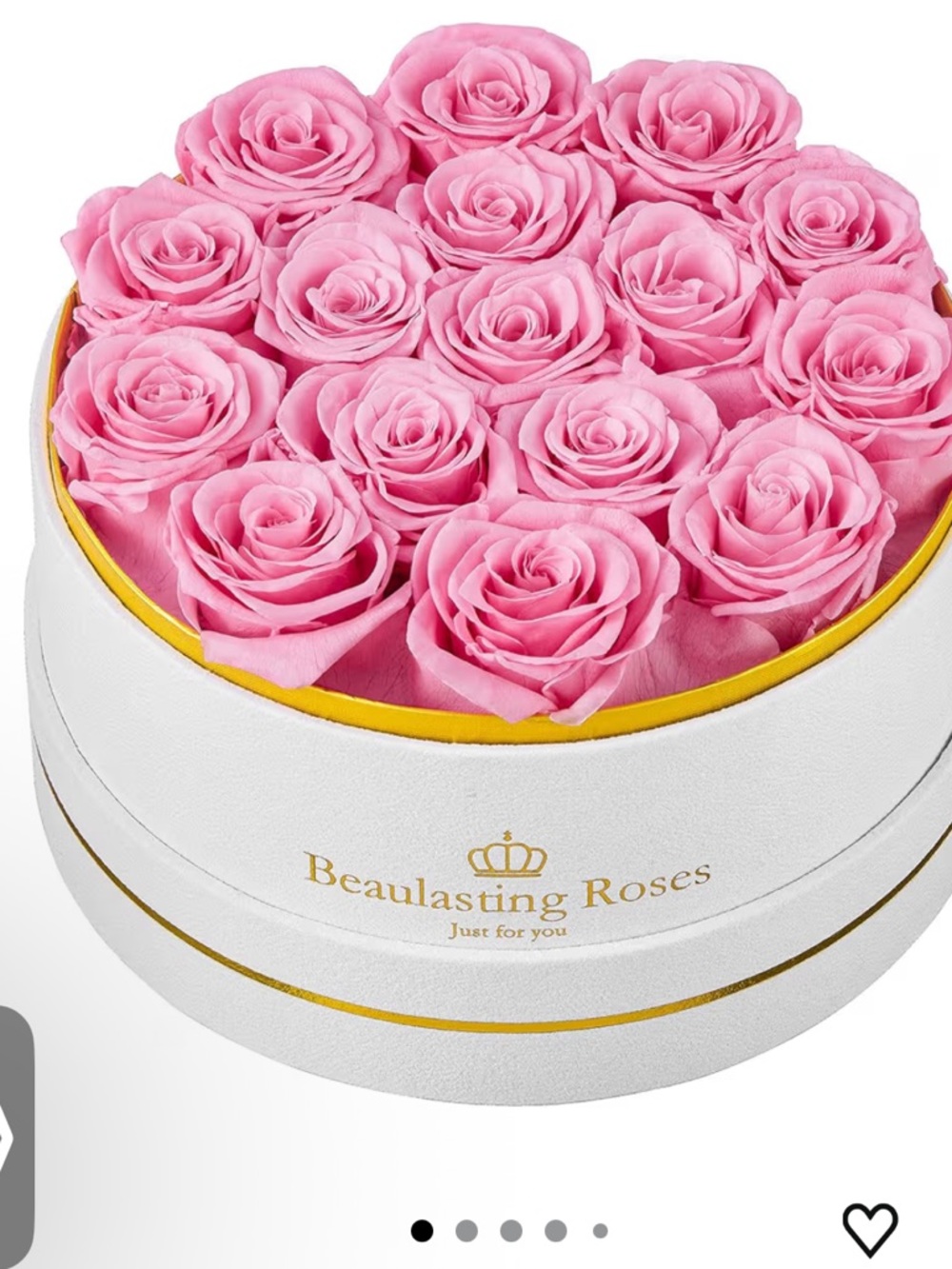 Beaulasting Roses Pink Preserved Rose Box
